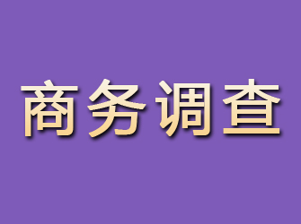 保山商务调查